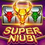 Super Niubi